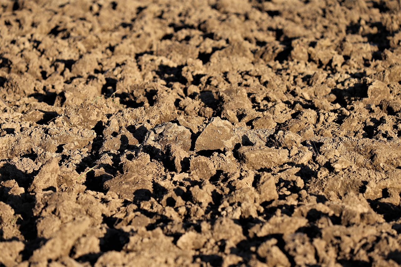 Eco-Friendly Techniques to Improve Soil Fertility